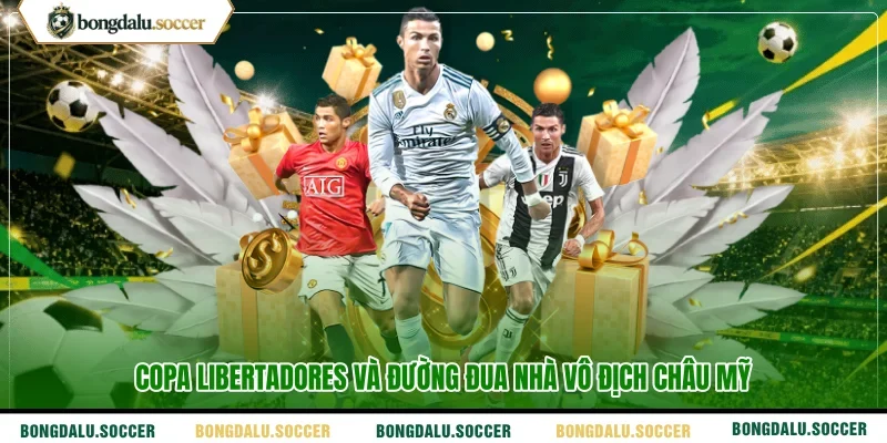 Copa Libertadores và đường đua nhà vô địch châu Mỹ