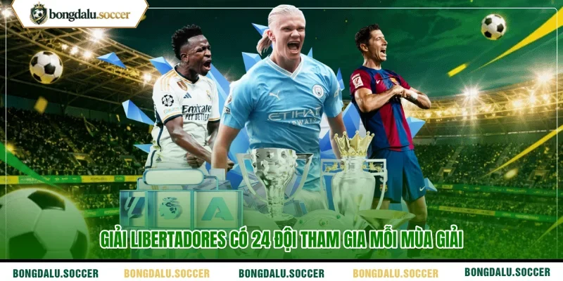 Giải Libertadores có 24 đội tham gia mỗi mùa giải