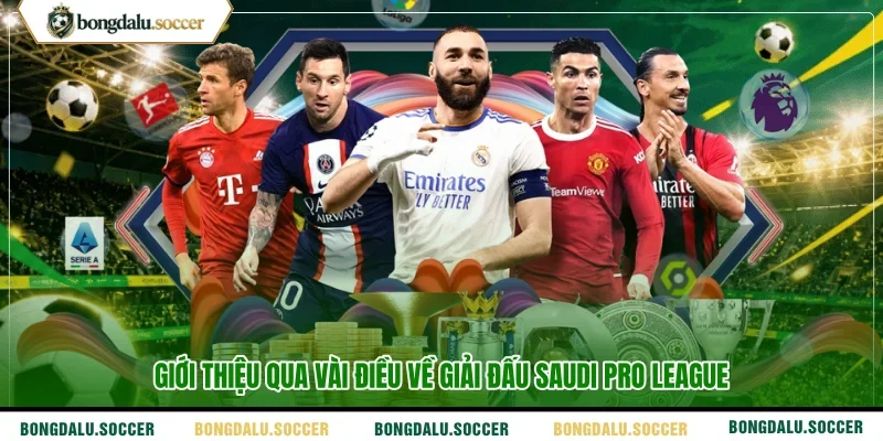 Giới thiệu qua vài điều về giải đấu Saudi Pro League