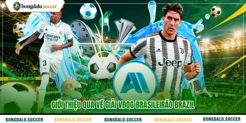 Giới thiệu qua về giải VĐQG Brasileirão Brazil
