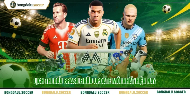 Lịch thi đấu Brasileirão update mới nhất hiện nay