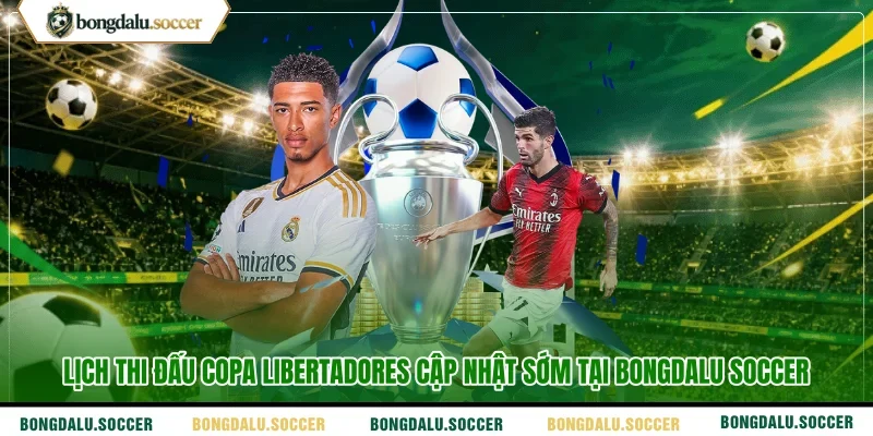 Lịch thi đấu Copa Libertadores cập nhật sớm tại Bongdalu Soccer 