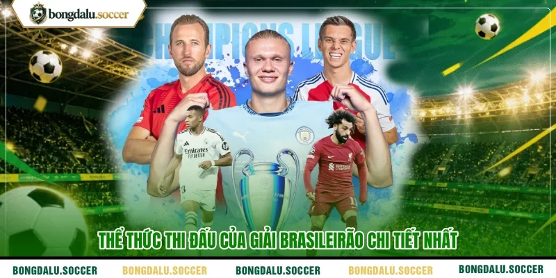 Thể thức thi đấu của giải Brasileirão chi tiết nhất