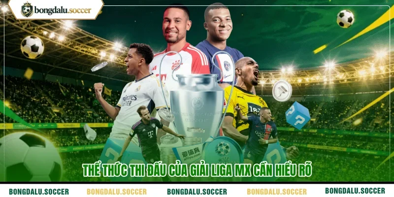 Thể thức thi đấu của giải Liga MX cần hiểu rõ