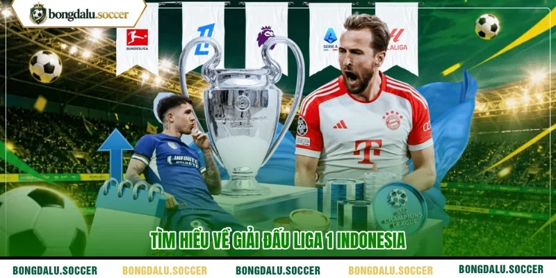 Tìm hiểu về giải đấu Liga 1 Indonesia 