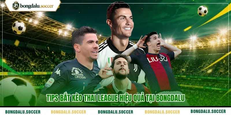 Tips bắt kèo thai league hiệu quả tại bongdalu 